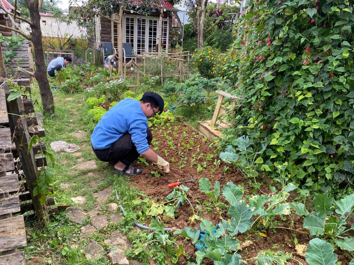 The Burrow * Đà Lạt