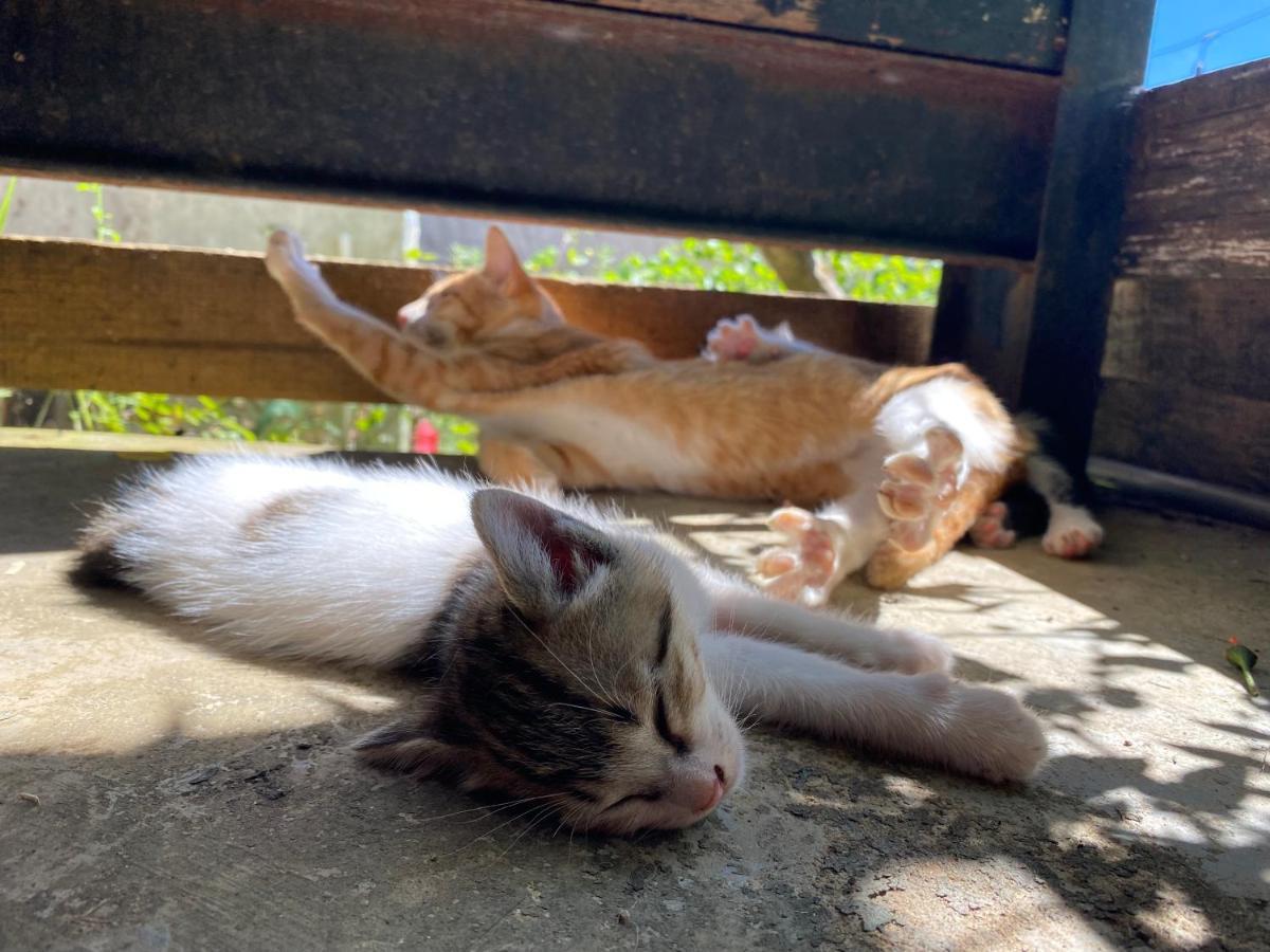 The Burrow Đà Lạt